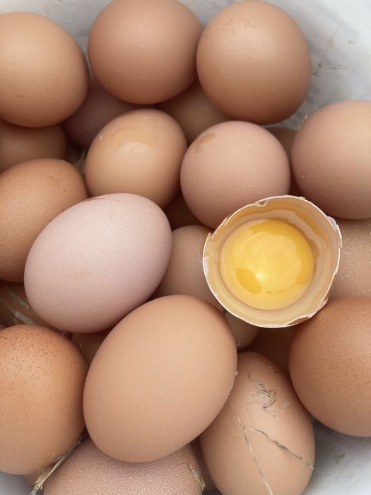 Oua de gaina microferma