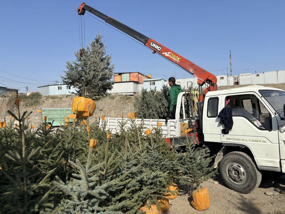 Услуги манипуляТора и автовышки