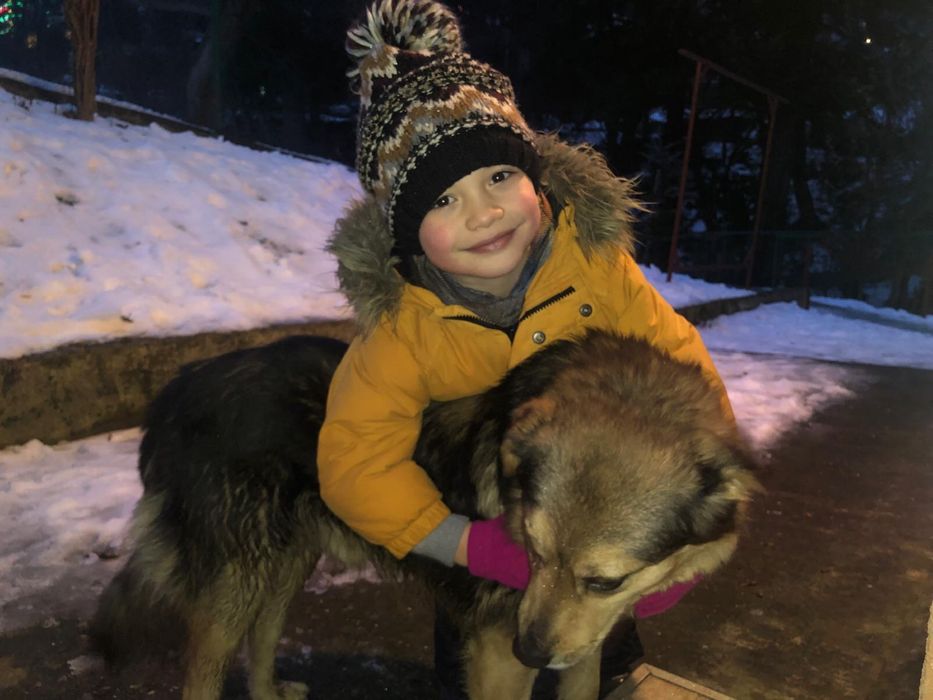 Petsitter/ingrijitor de animale de companie