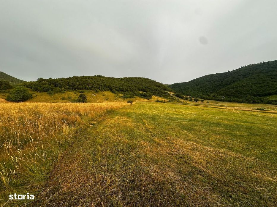 Oportunitate Teren Pt Investitie 3408Mp In Gura Raului