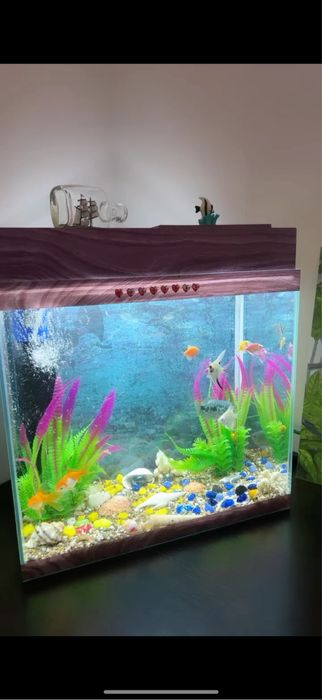 продам аквариум