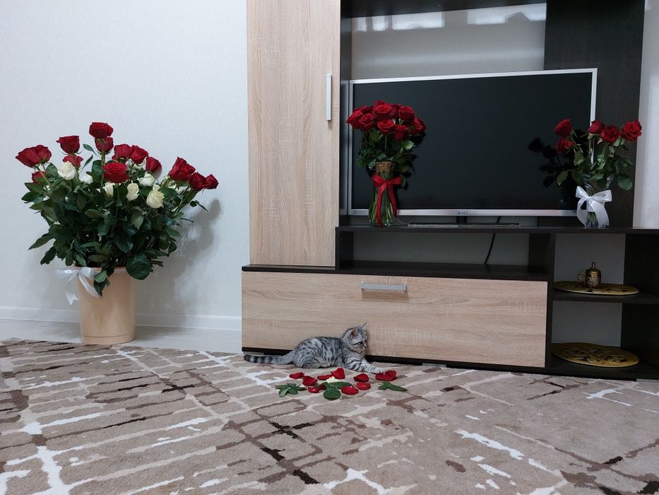 Продам тв в нераб.состоянии