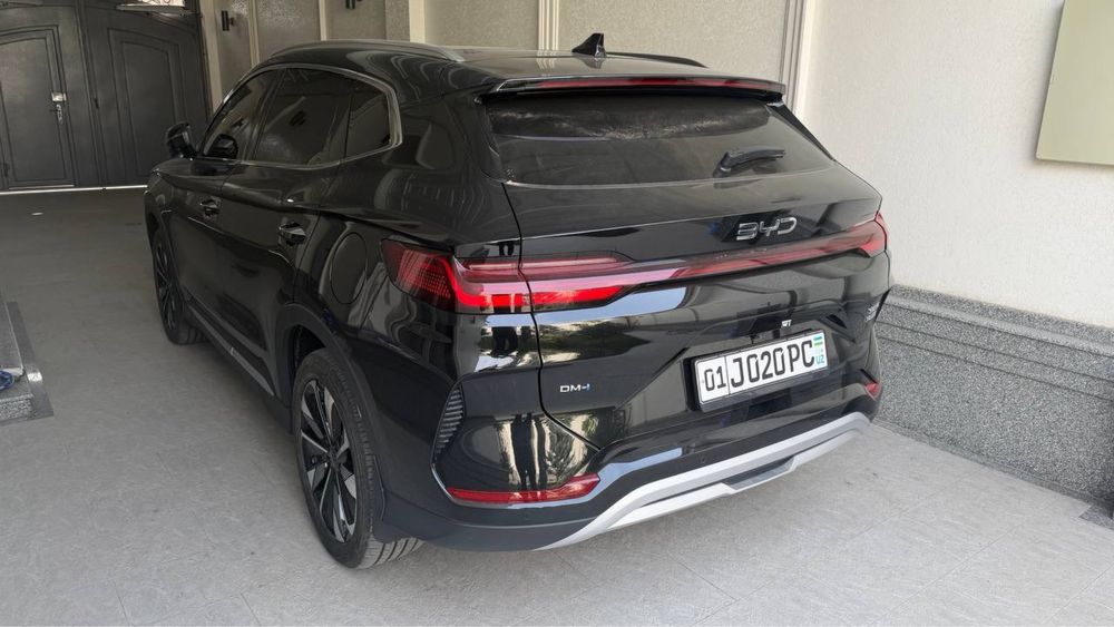 Byd chempion gibrid 150 tali kraska toza