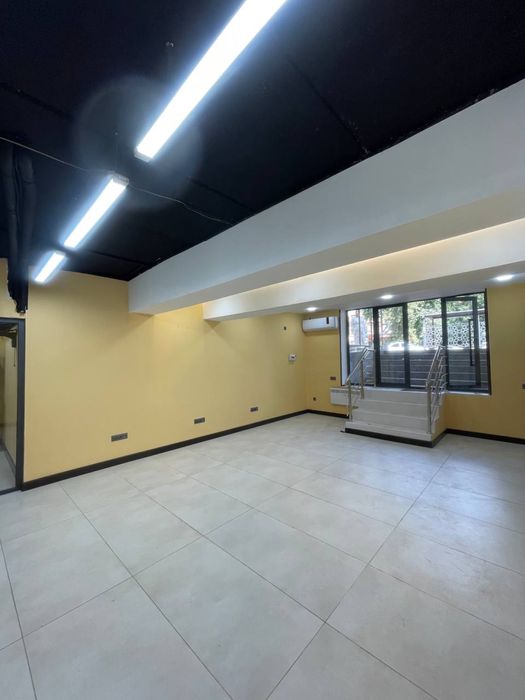 Лисунова • 61 м² • Вдоль дороги