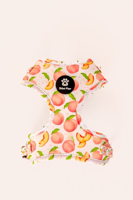 Кучешки нагръдник (на едро)