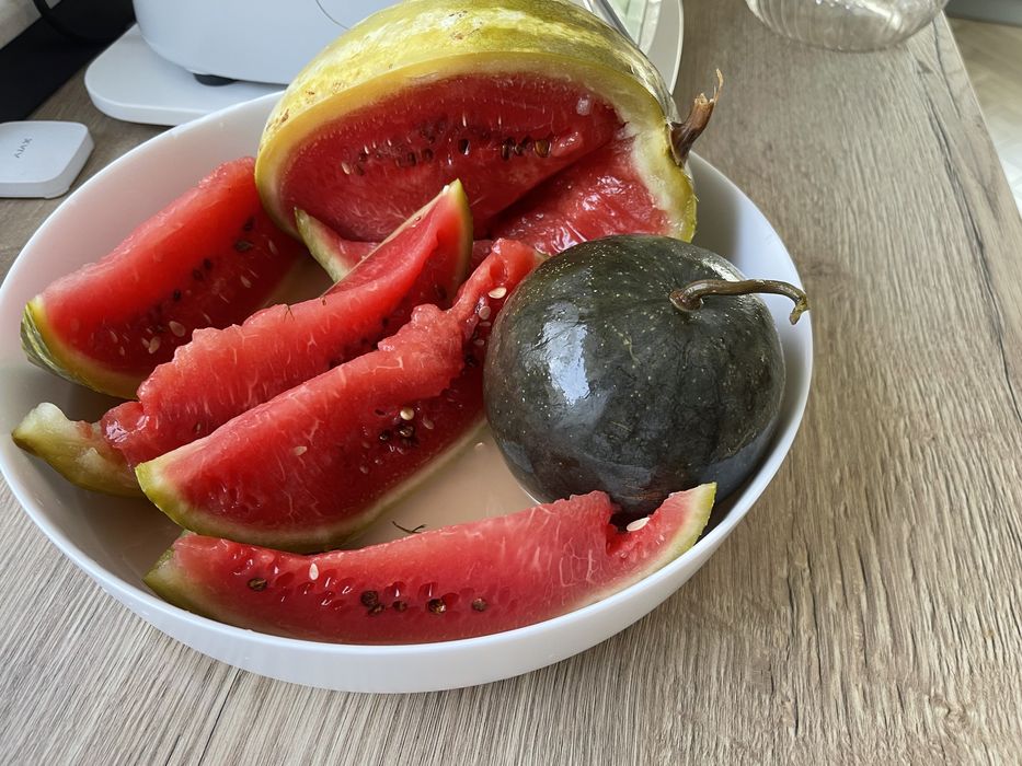 Pepene murat productie proprie