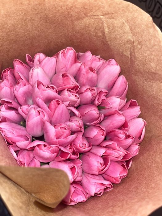 Продам тюльпаны 600