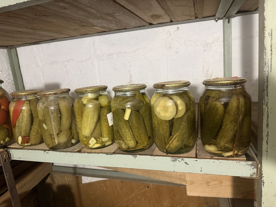 Соленья домашние