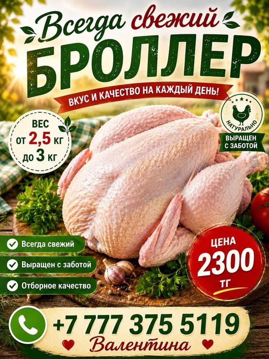 Броллер продам свежий