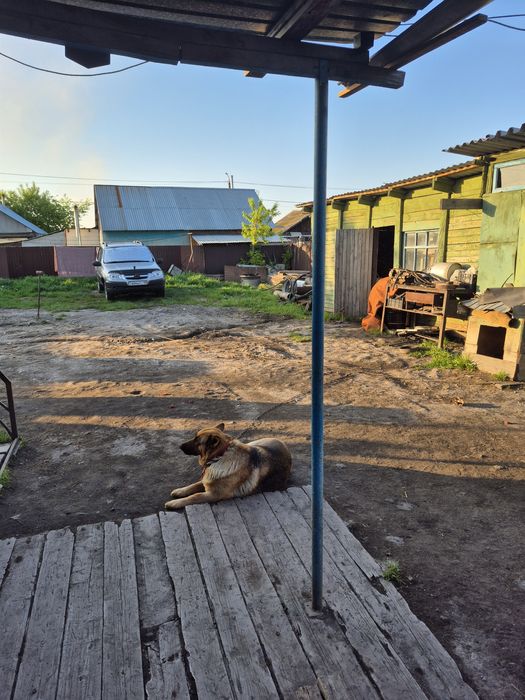 Продам дом срочно