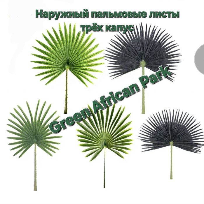 Пальмовы  листья