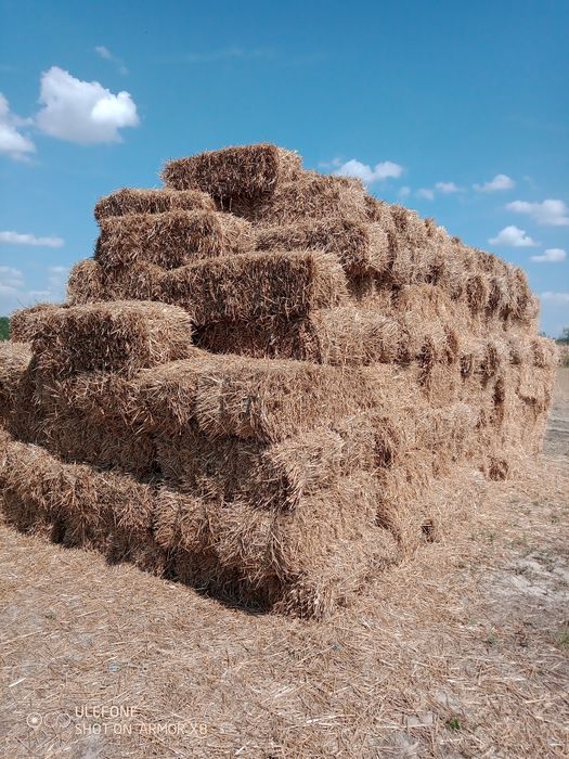 Vând baloți pae de grâu și triticale