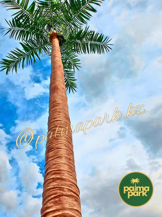 Пальма, искусственные пальмы