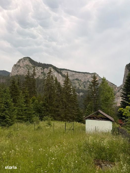 Teren intravilan de vânzare în Lacu Roșu – panoramă spectaculoasă