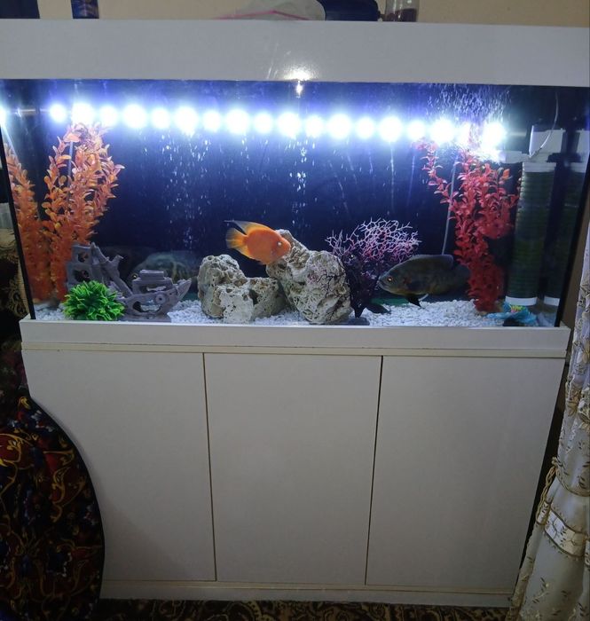 Аквариум сотилади