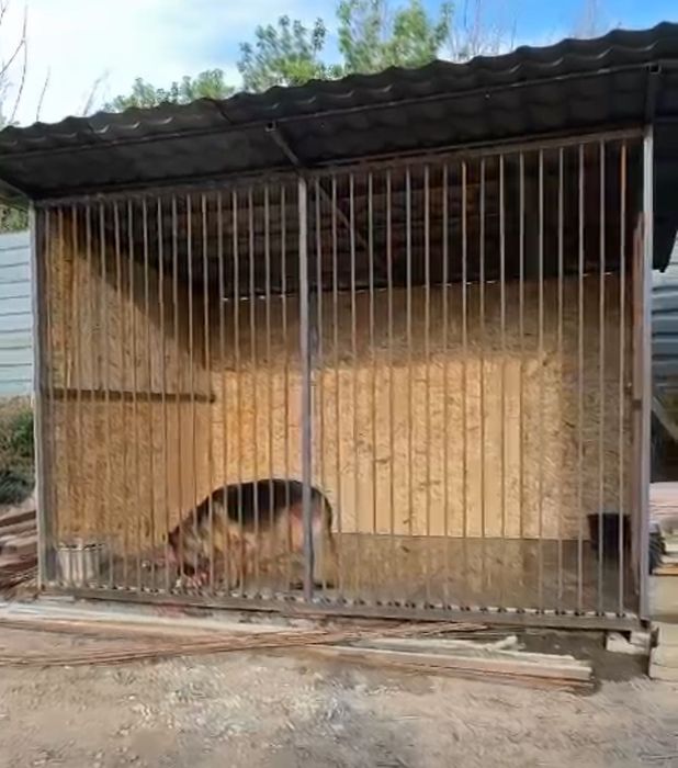 Продам вольер 2,40*3,60*2,50 м