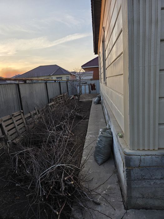 Отдам бесплатно дрова