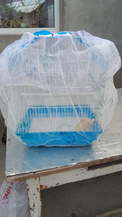 Клетка для попугаев