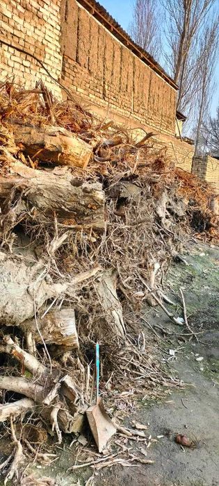 Oʻtin sotiladi quruq otin