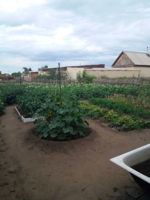 Квартира четырёх комнатная