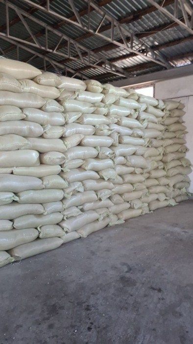 Bedana tuxum va bedana doni