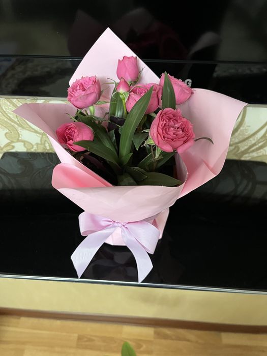 Цветы комнатные домашние