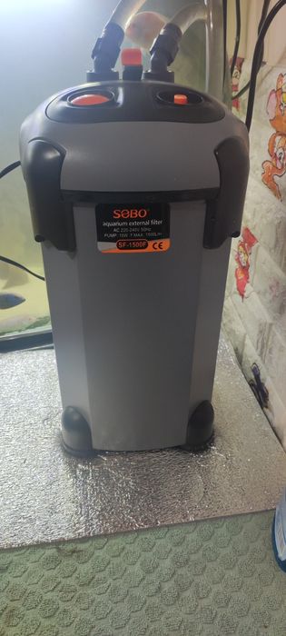 Аквариум рыба африка