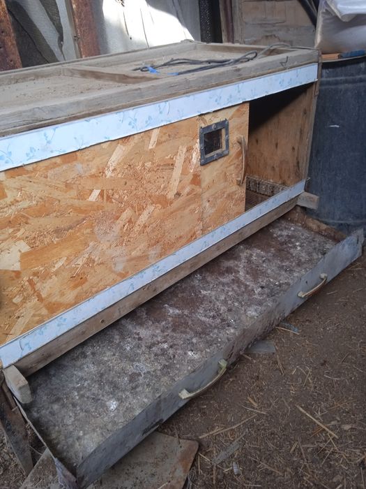 Брудер для цеплят