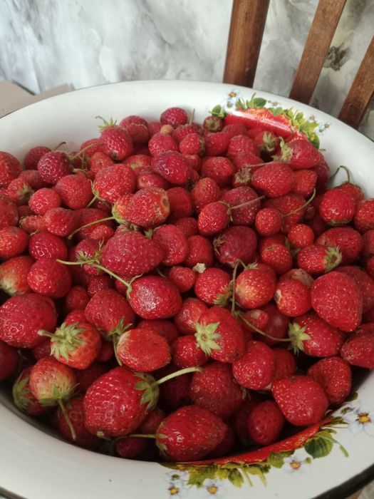 Продам клубнику домашнюю