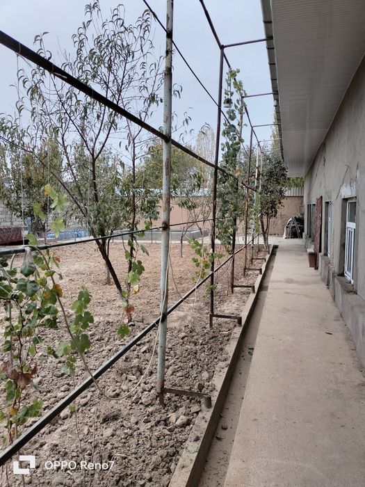 5 sotix uchaska sotiladi 3 ta xonasi narxi 55000$ kelishamz