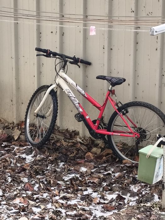 Bicicleta pentru copii