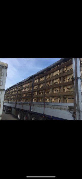 Пчелопакеты 3+1