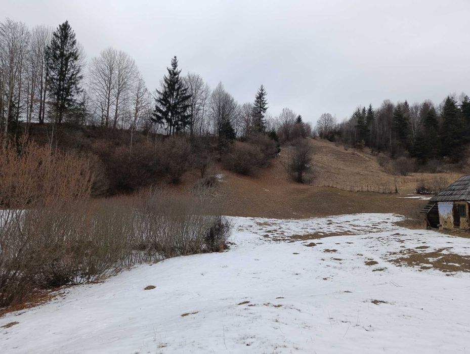 Vând teren 9000 mp teren Grozăvești com Hanguu