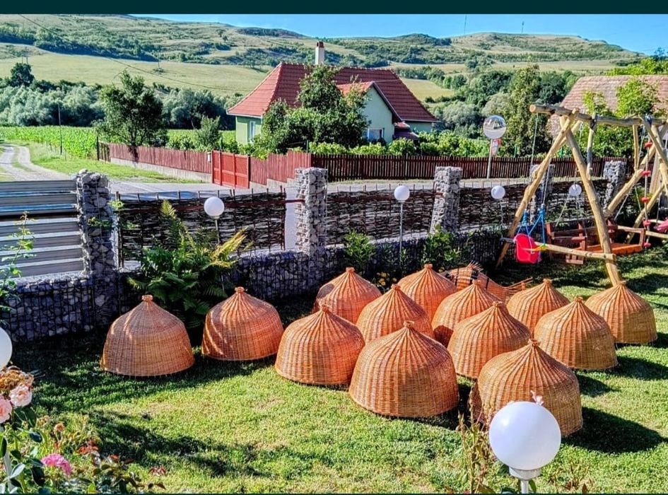 Abajuri,lustre,sezut pentru Fotografii, umbrella pe plaja...