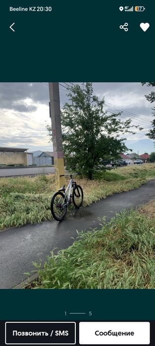 Продаю модрич дерт