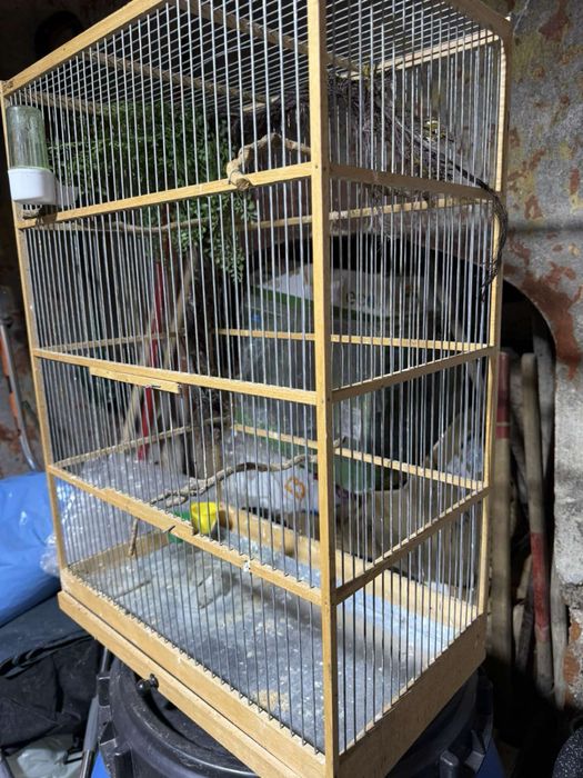 Кафез за птици канарчета