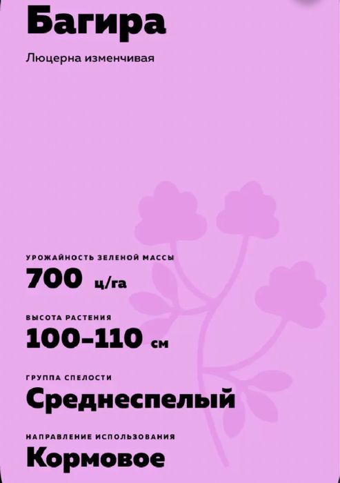 Продаю Семена Люцерны (Меркенский район)