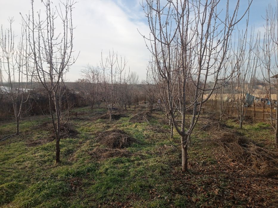 Продаётся земельным участком за 1.сотку 1900.у.е