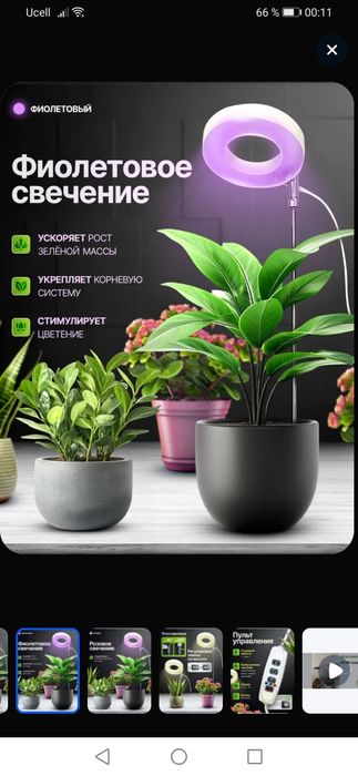 Фито лампа для растений