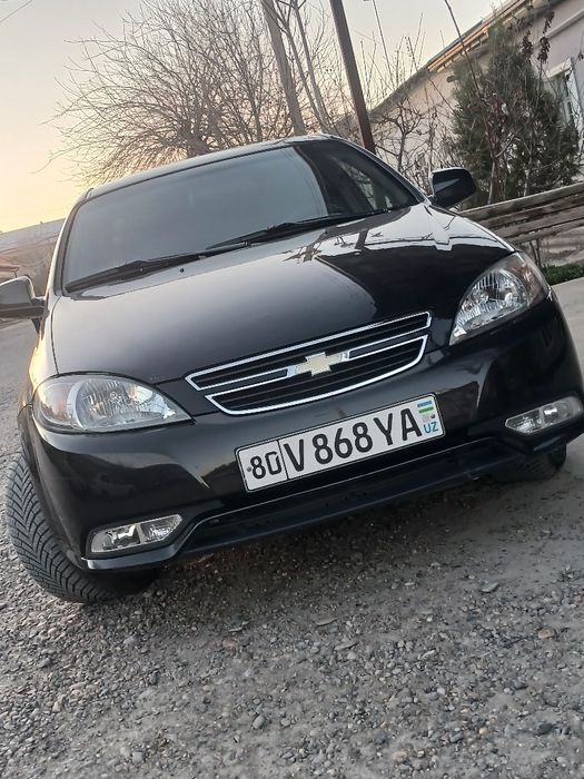 Жентра кора родной краска 8000$