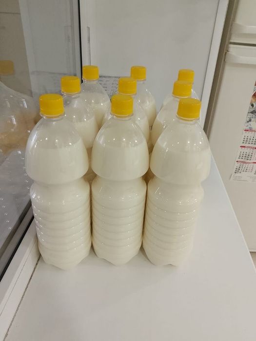 Продам Кымыз Абайский Саржал 100% доставка