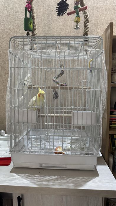 Продается клетка , для Жако корелла волнистики ожереловые попугаи