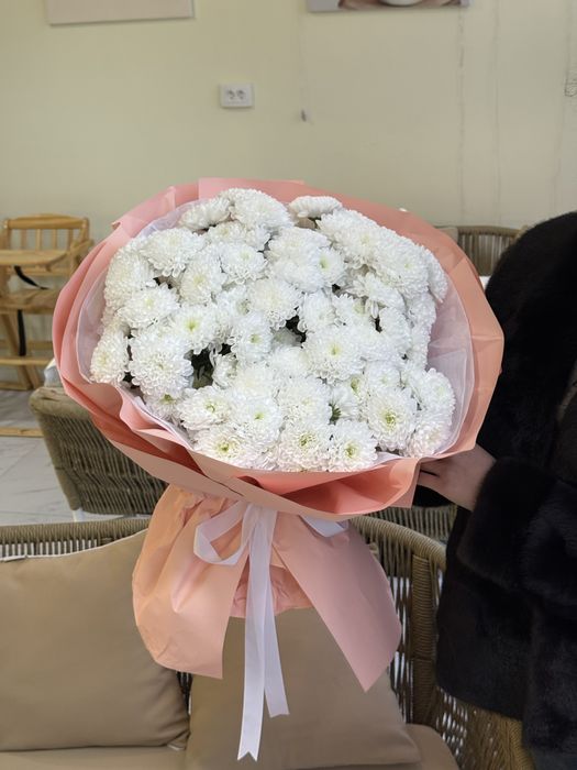 Продам цветы в Шымкенте недорого