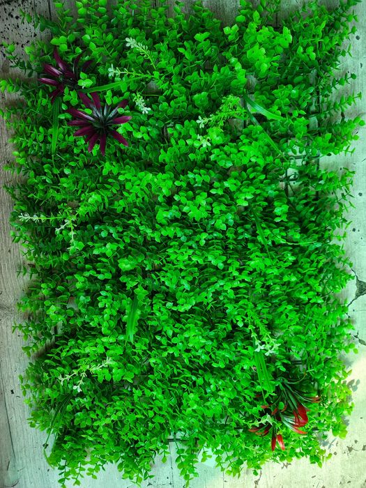 Decarativne suniy gullar kelishilgan narxlarda