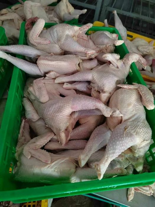 Продам мясо кур .