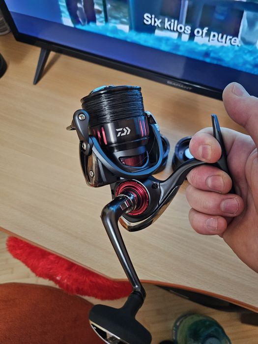 Mulineta Daiwa Tournament 4010qd
