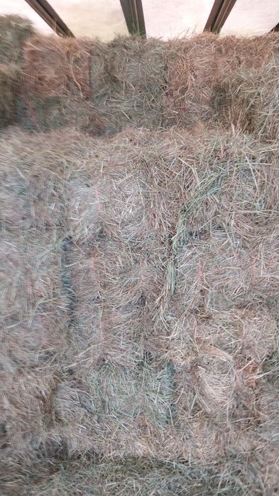 Baloti de fan si otava calitate buna