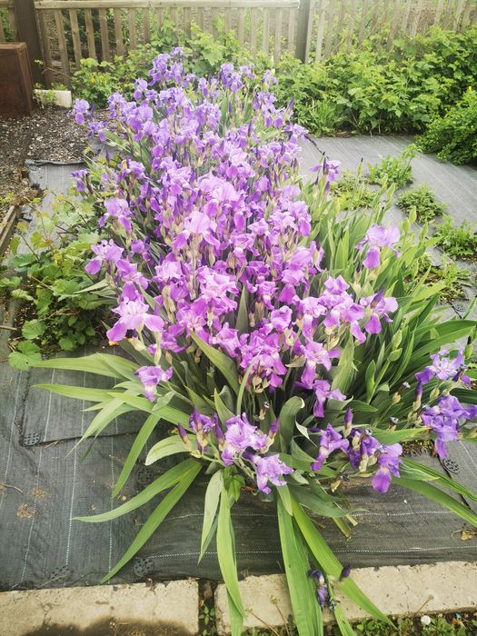 Срочно.Продается большой дом