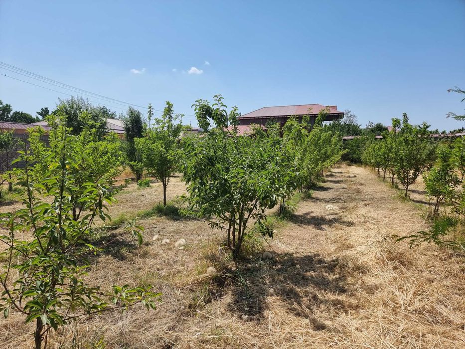 Продается участок 18 соток в Пскентском районе, Ташкентская область!