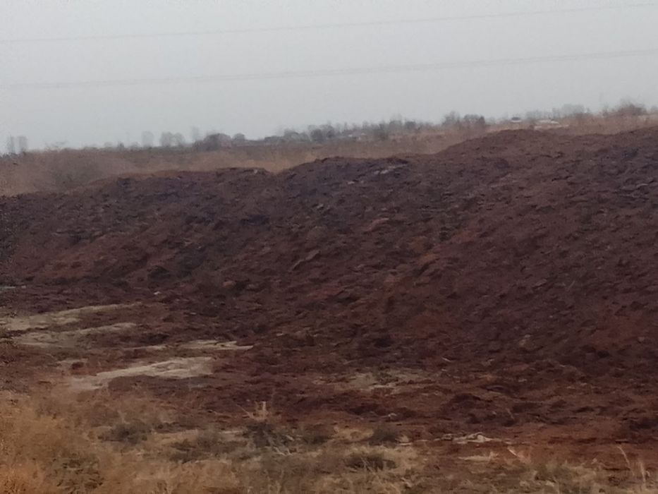 Qurigan tovuq go'ngi